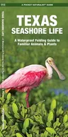 Texas Seashore Life: A Waterproof Folding Guide to Familiar Animals & Plants