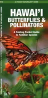 Hawai'i Butterflies and Pollinators: A Folding Pocket Guide to Familiar Species