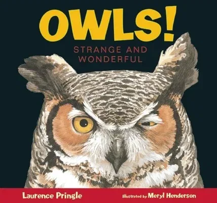 Owls!: Strange and Wonderful