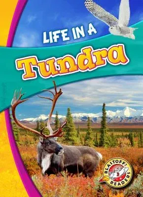 Life in a Tundra