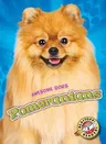 Pomeranians