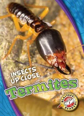 Termites