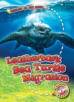 Leatherback Sea Turtle Migration