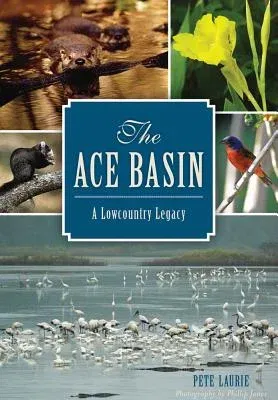 The Ace Basin: A Lowcountry Legacy