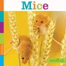 Mice