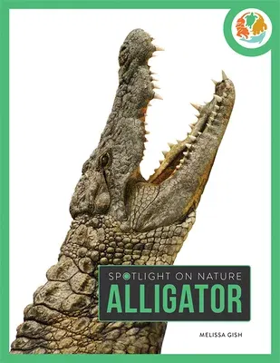 Alligator