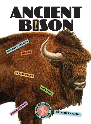 Ancient Bison