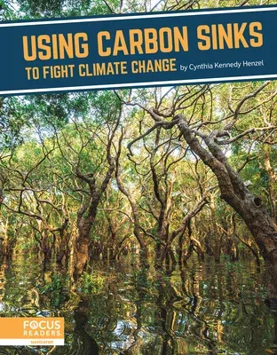 Using Carbon Sinks to Fight Climate Change