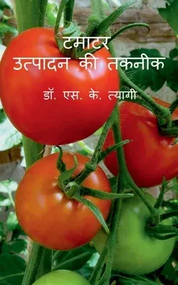 Tamatar Utpadan Ki Takneek / टमाटर उत्पादन की तकन