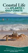 Coastal Life of the Atlantic and Gulf Coasts: Easily Identify Seashells, Beachcombing Finds, and Iconic Animals