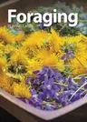 Foraging Playing Cards