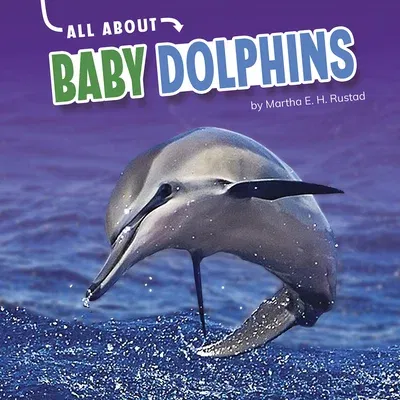 All about Baby Dolphins