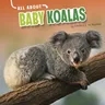 All about Baby Koalas