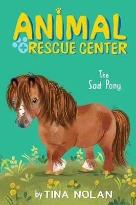 The Sad Pony