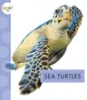 Sea Turtles