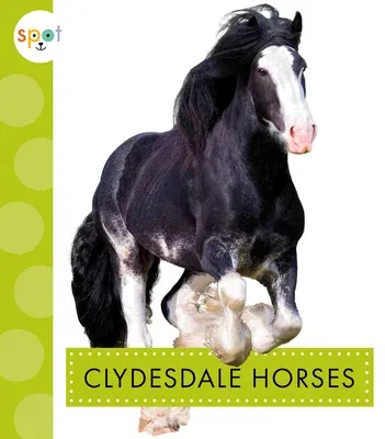 Clydesdale Horses