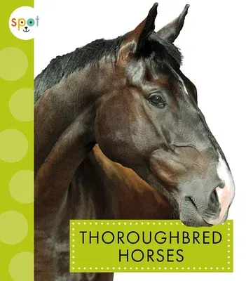 Thoroughbred Horses