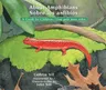 About Amphibians / Sobre Los Anfibios: A Guide for Children / Una Guía Para Niños (English, Spanish)