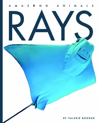 Rays