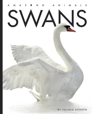 Swans