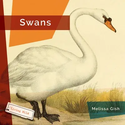 Swans