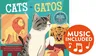 Cats / Gatos