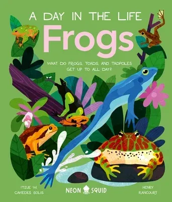 Frogs (a Day in the Life): What Do Frogs, Toads, and Tadpoles Get Up to All Day?