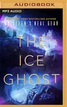 The Ice Ghost