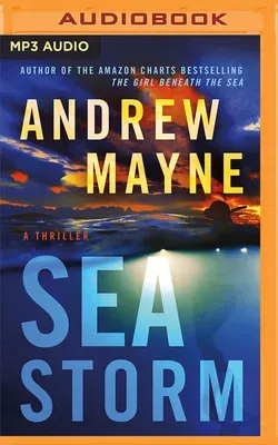 Sea Storm: A Thriller