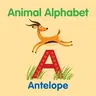 Animal Alphabet