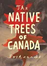 Native Trees of Canada: A Postcard Set: Postcard Set with 30 Postcards