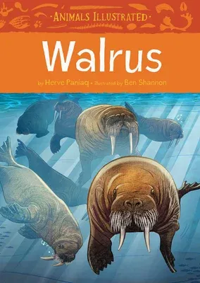 Animals Illustrated: Walrus (English)