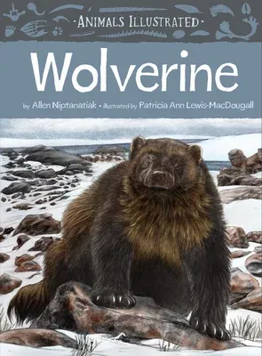 Animals Illustrated: Wolverine (English)