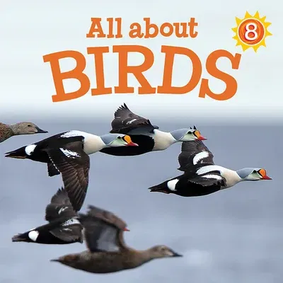 All about Birds: English Edition (English)