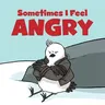 Sometimes I Feel Angry: English Edition (English)