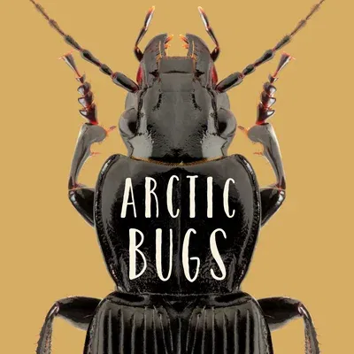 Arctic Bugs: English Edition (English)