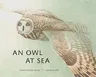 An Owl at Sea