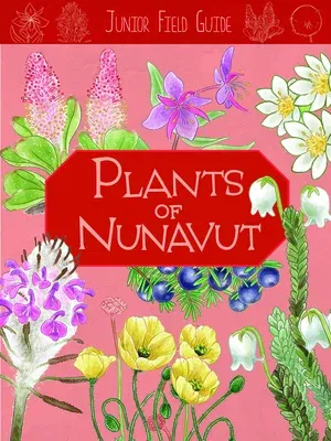 Junior Field Guide: Plants of Nunavut: English Edition (English)