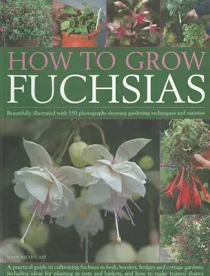 How to Grow Fuchsias