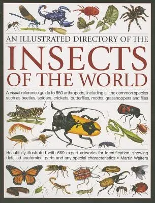 An Illustrated Directory of the Insects of the World: A Visual Reference Guide to 650 Arthropods, Including All the Common Insect Species Such as Beetles