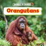 Orangutans