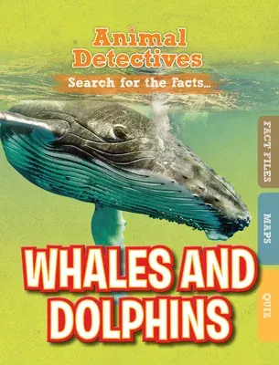 Whales & Dolphins