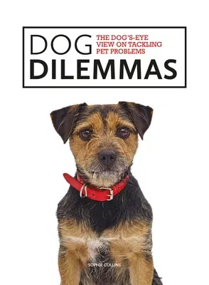 Dog Dilemmas: The Dog's-Eye View on Tackling Pet Problems