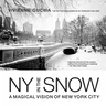 New York in the Snow: A Magical Vision of New York City