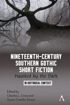 Nineteenth-Century Southern Gothic Short Fiction: Haunted by the Dark