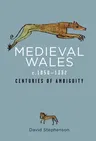 Medieval Wales C.1050-1332: Centuries of Ambiguity