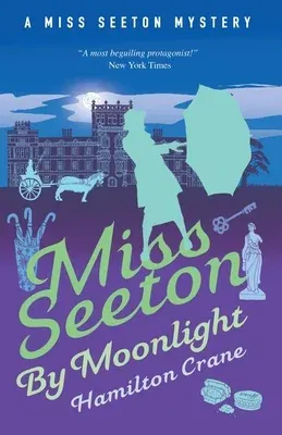 Miss Seeton by Moonlight