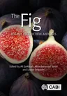 The Fig: Botany, Production and Uses