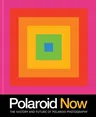 Polaroid Now: The History and Future of Polaroid Photography