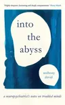 Into the Abyss: A Neuropsychiatrist's Notes on Troubled Minds